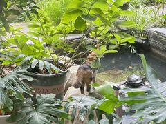 -谷咖啡·鲜花绿植花园餐厅