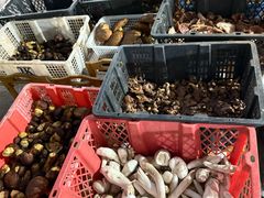 -草墩罗非鱼庄•野生菌•腊排骨(七星街上段店)