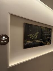 -普洛蒂亚·科技美肤中心