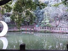 -房湖公园