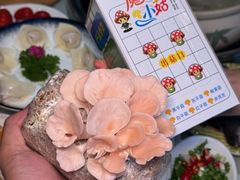 -名善山珍·野生菌汤锅(文殊院店)