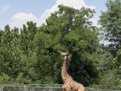 -石家庄市动物园