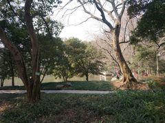 -杭州植物园