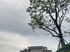 -广州市帽峰山景区