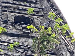 -上海佘山国家森林公园天马山园