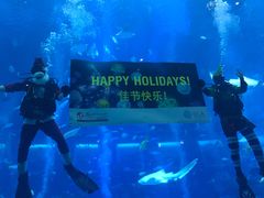-新加坡海洋生态馆