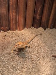 -酷嗒动物文化乐园(cutezoo西溪乐天城店)