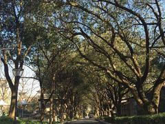 -浙江大学(玉泉校区)