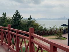 -养马岛旅游度假区