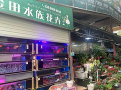 -金田水族花卉市场(银庄大厦店)