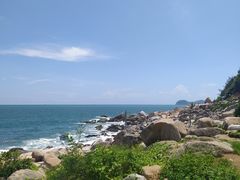 -广东惠东海龟国家级自然保护区