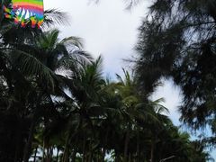-万绿园