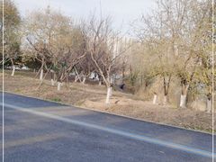 -永定河休闲森林公园