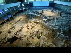 -自贡恐龙博物馆