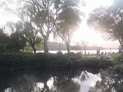 -杭州西湖柳莺里酒店·闻莺厅