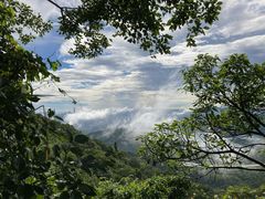 -梧桐山风景名胜区