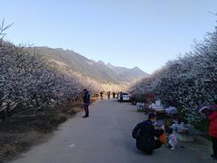 -广州市流溪河国家森林公园