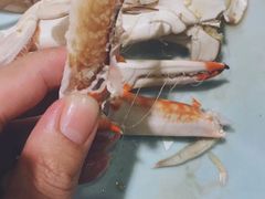 -三个渔夫·蒸汽海鲜(小白楼店)