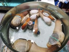 -强记海鲜·大排档(蛇口新街店)