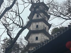 -江心屿景区