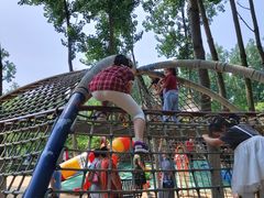 -合肥滨湖国家森林公园