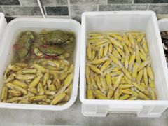 -阿杰臻选海鲜饭店(普陀山店)