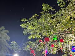 -锦里海景海鲜餐厅.三亚老字号(亚龙湾中心广场店)