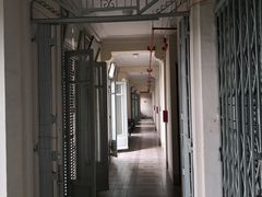 -胡志明市美术馆