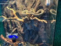 -荆州中山公园动物园