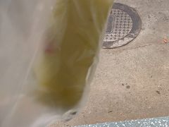-百果园PAGODA(海德路店)