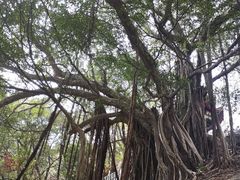 -乌山风景区