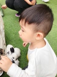 -萌宠亲子动物乐园(槐房万达店)