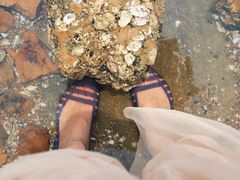 -青岛第一海水浴场