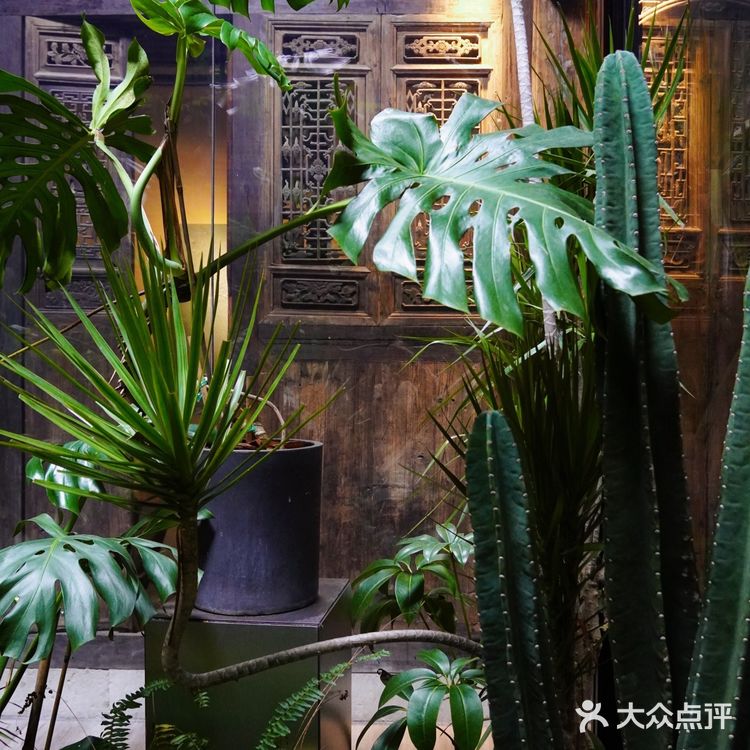 广富林里的一尺花园