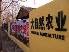 -大自然农场蔬菜草莓采摘园