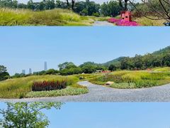 -水濂山森林公园