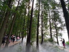 -东湖落雁景区