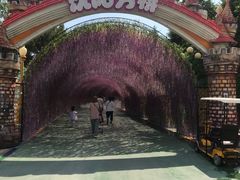 -沈阳方特欢乐世界