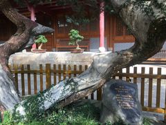 -普陀山风景名胜区-法雨禅寺