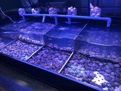 -韩盛·盛江山自助料理(中街大悦城店)