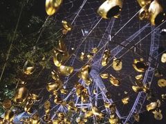 -锦江乐园舞狸花花游园会(夜场专享)