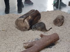 -海合安武汉极地海洋公园