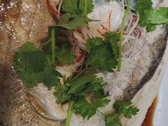 -小六汤包·老字号·中华名小吃(公园南路店)