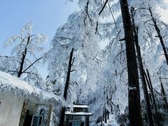 -莫干山风景区