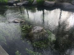 -水磨沟公园