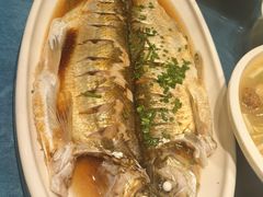 -大队长大灶鹅