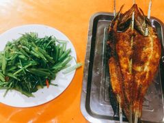 -煲来饱去冷水鱼