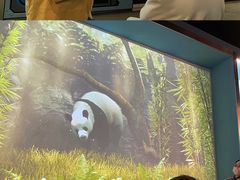 -珠海横琴国家地理探险家中心(创新方)