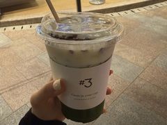 -岭南站NOVA