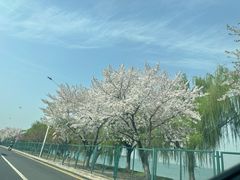 -阳澄湖半岛旅游度假区